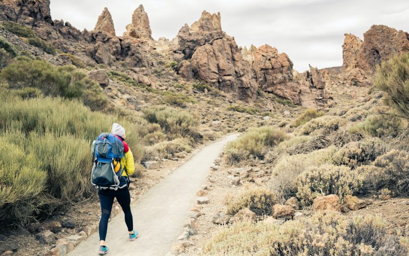 Happy mother with little boy travelling in backpack