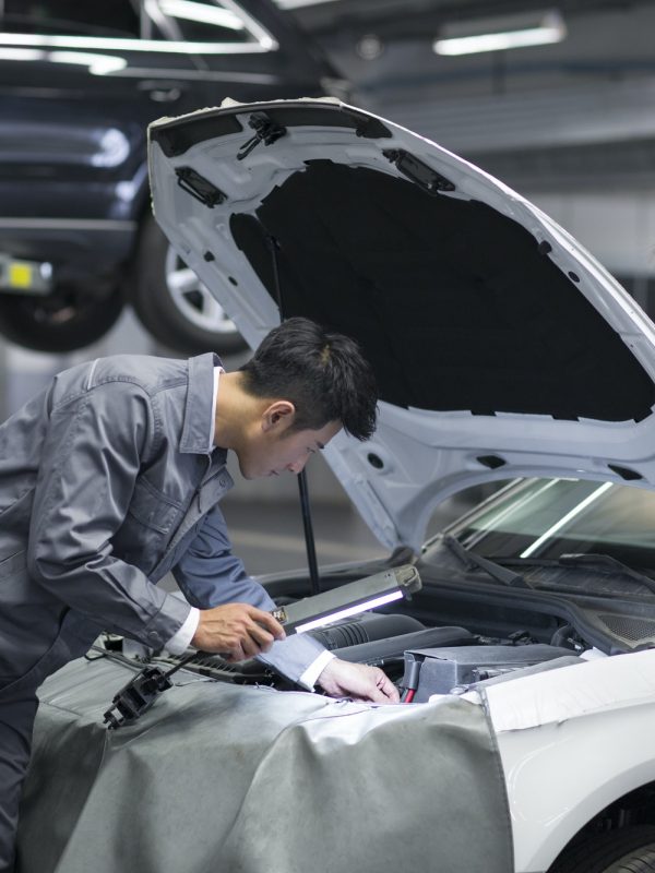 Auto mechanic and car owner