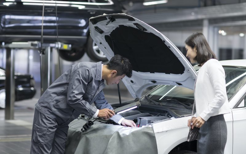 Auto mechanic and car owner